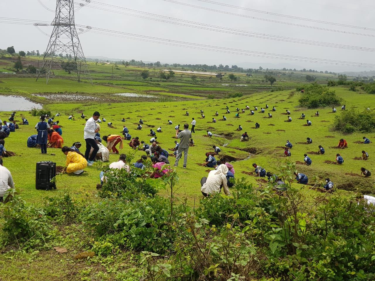 A group planting activity in a rural community