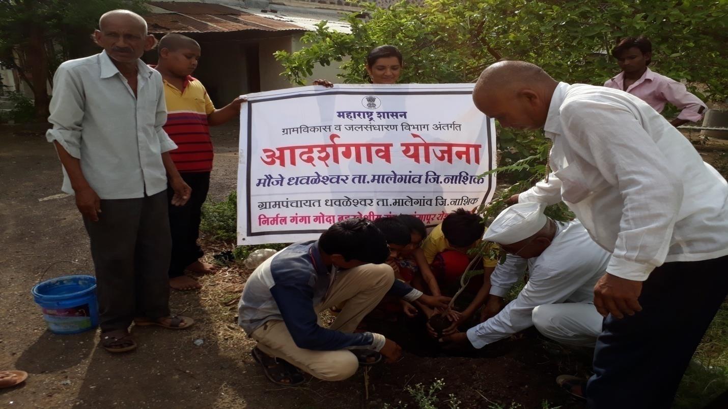 Large-scale tree plantation activity in the rural landscape